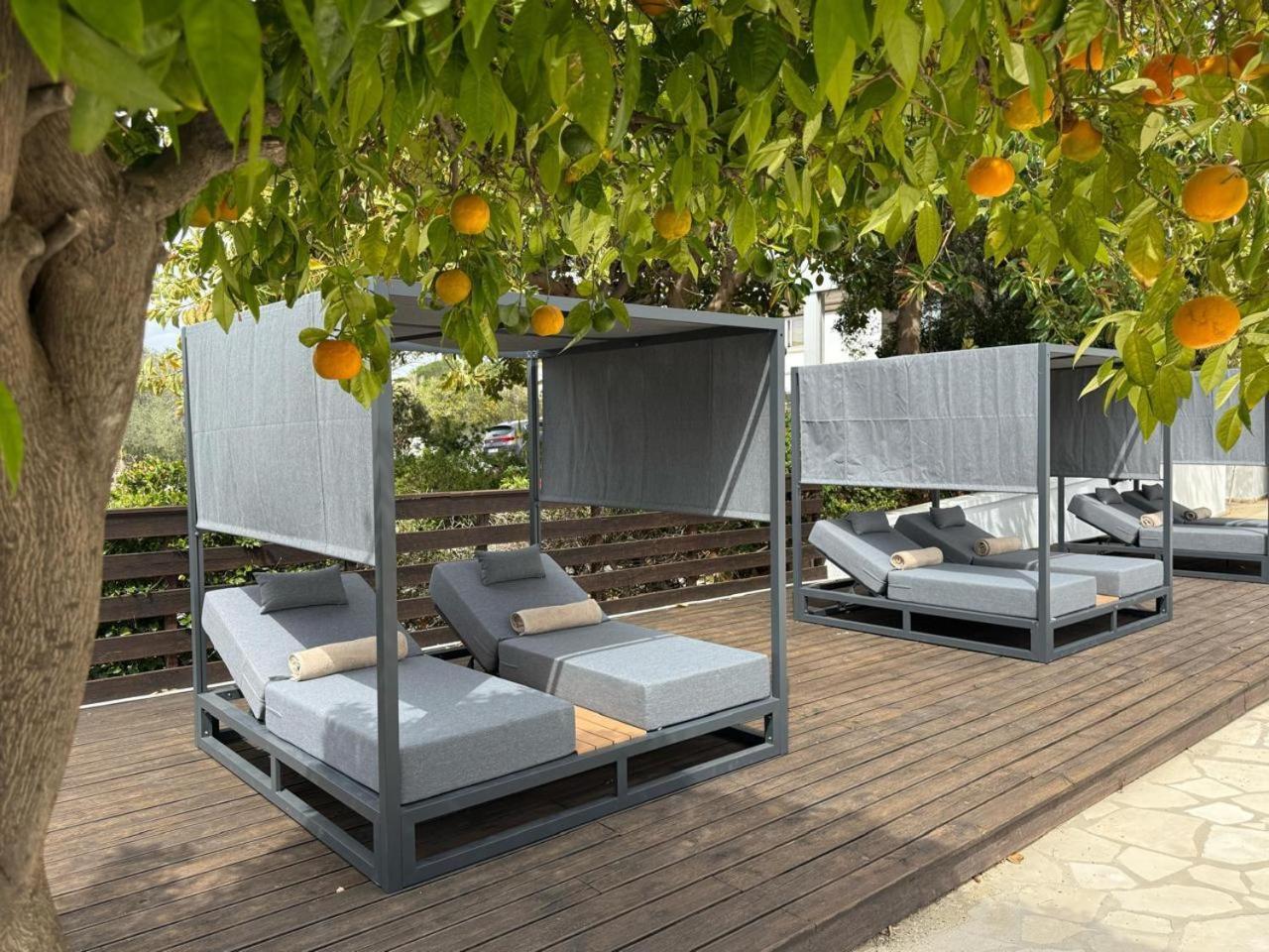 Cyprotel Florida 4* Айя-Напа